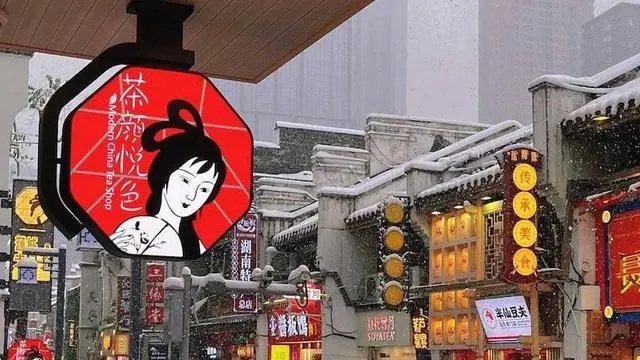 用茶点亮生活，体验自然之美